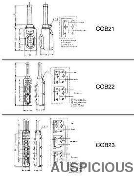 Taiwan DIRECT CONTROL PENDANT SWITCH | AUSPICIOUS ELECTRICAL