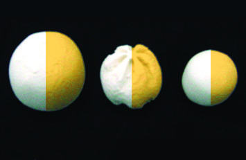 ANKO food machine - SD-97W