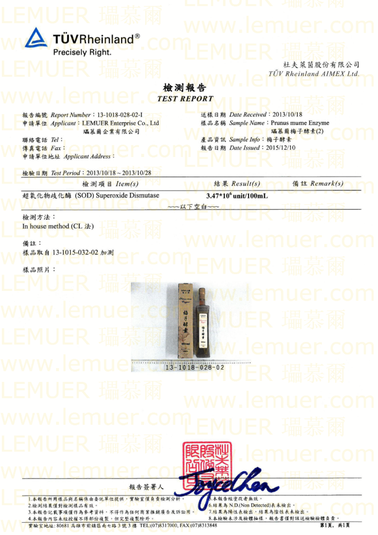 Test Report 4