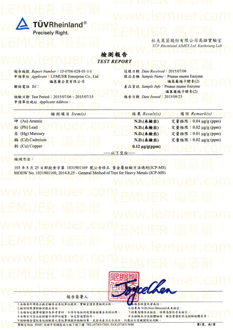 Test Report 6