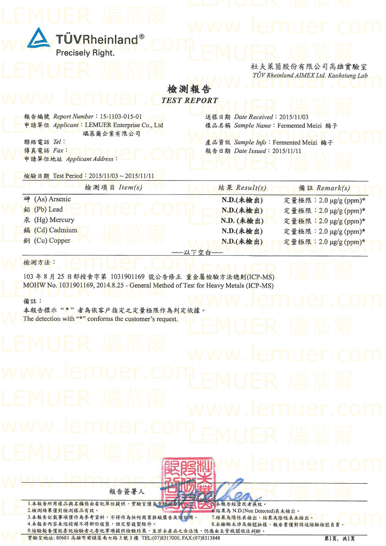 Test Report 10