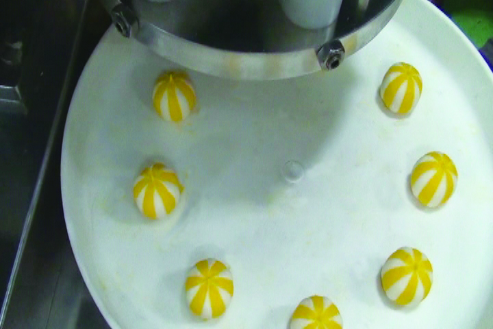 ANKO food machine - SD-97W