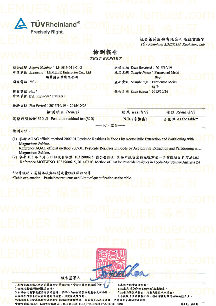 Test Report 5