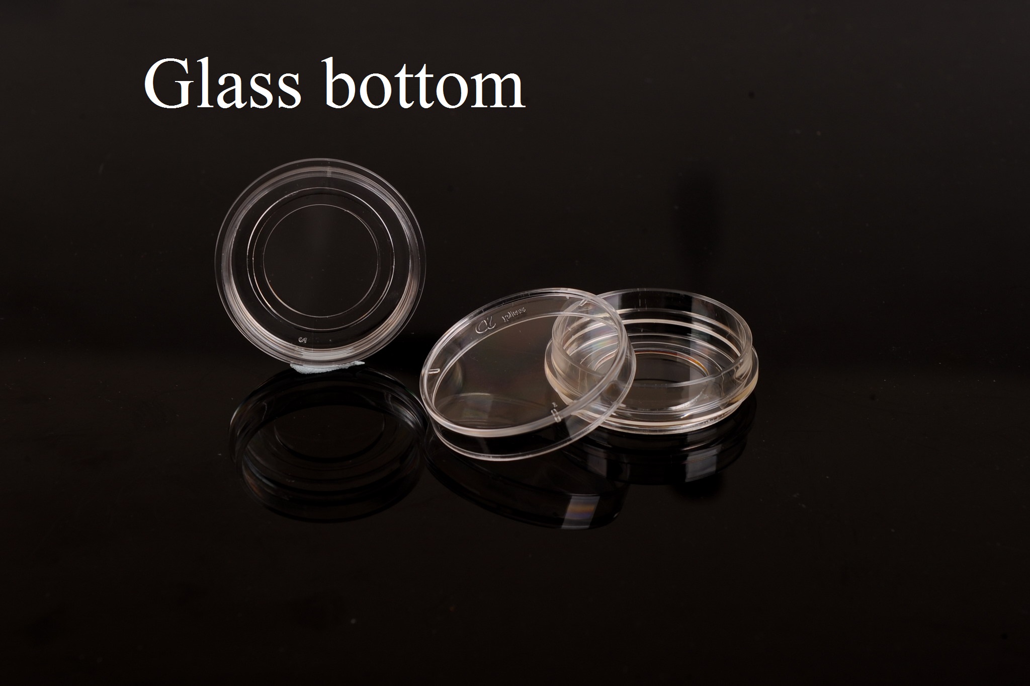 35mm glass bottom 35mm glass bottom