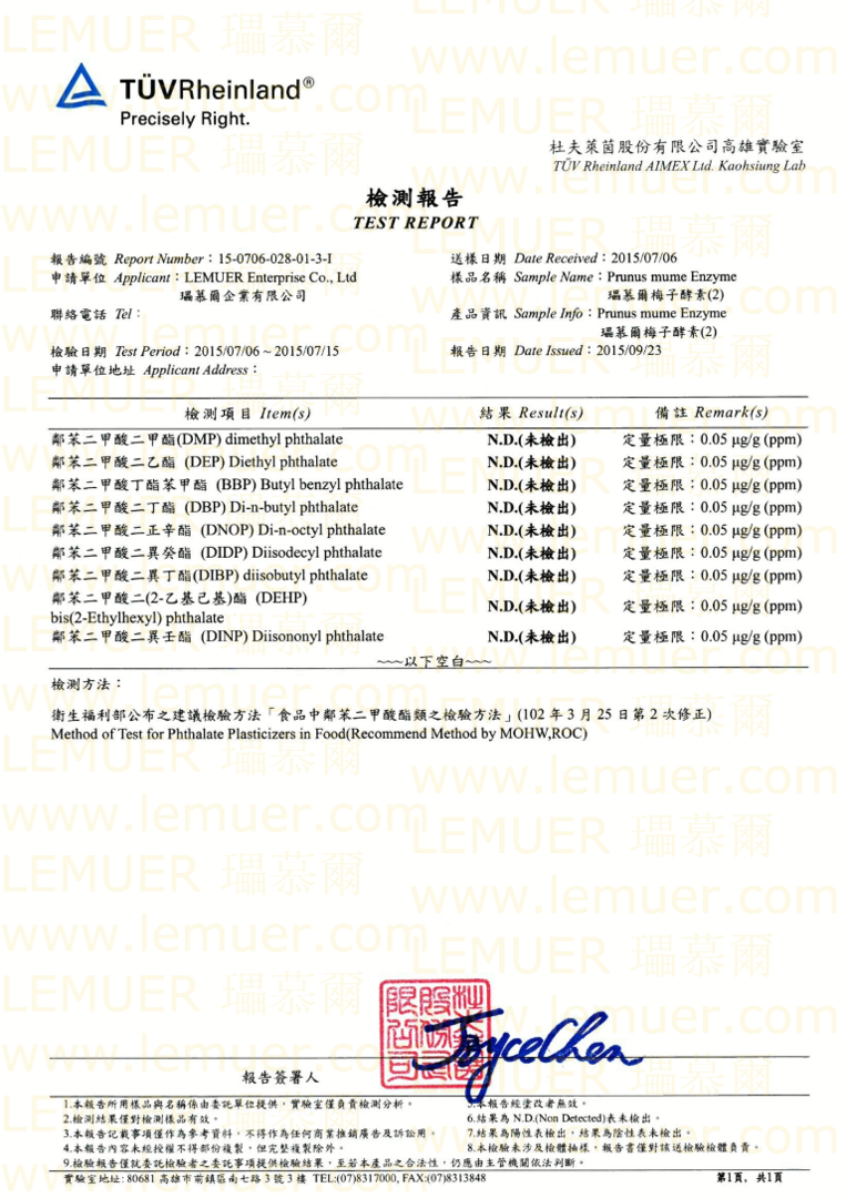 Test Report 1