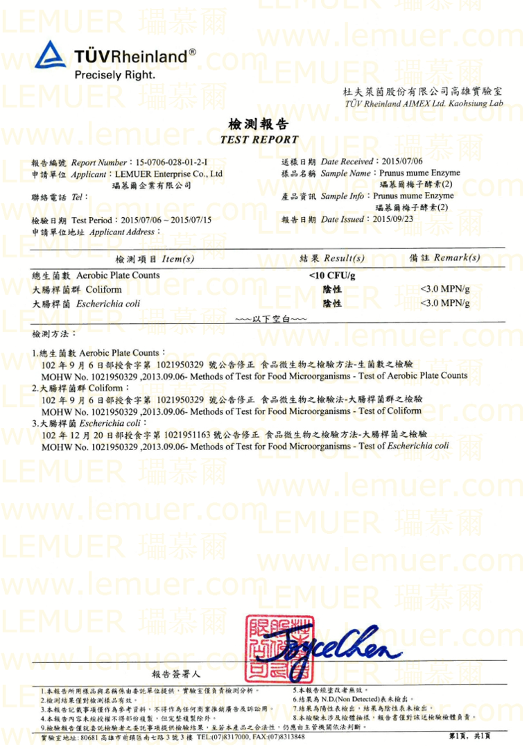 Test Report 8