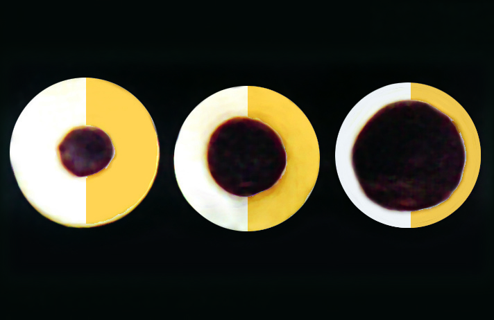 ANKO food machine - SD-97W