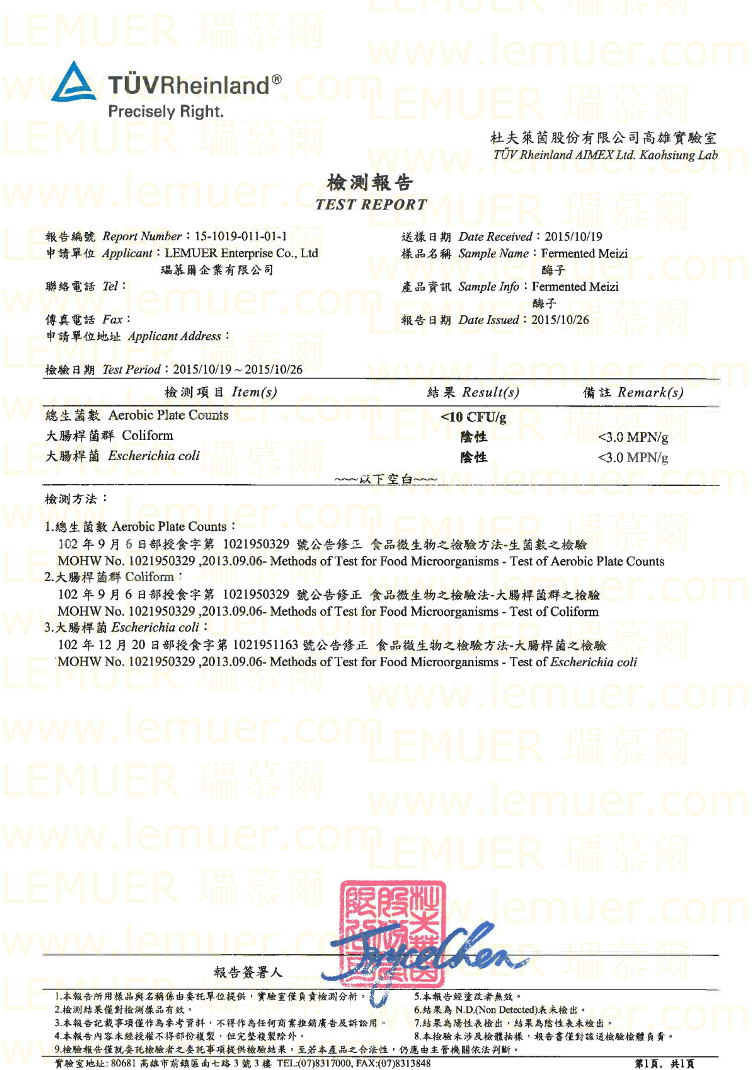 Test Report 9