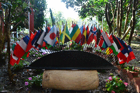 DSC_0708.gif DSC_0708.gif