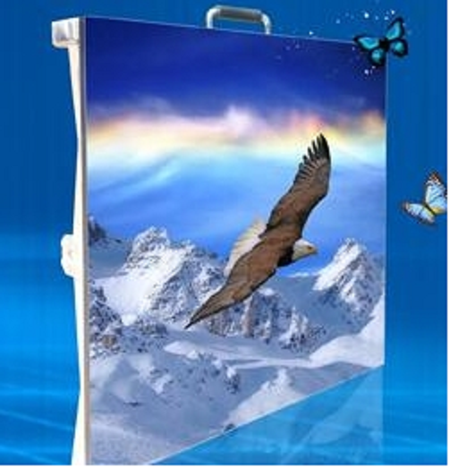 Indoor and Outdoor LED Display Indoor and Outdoor LED Display
