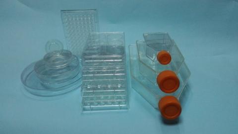 cell culture series cell culture series