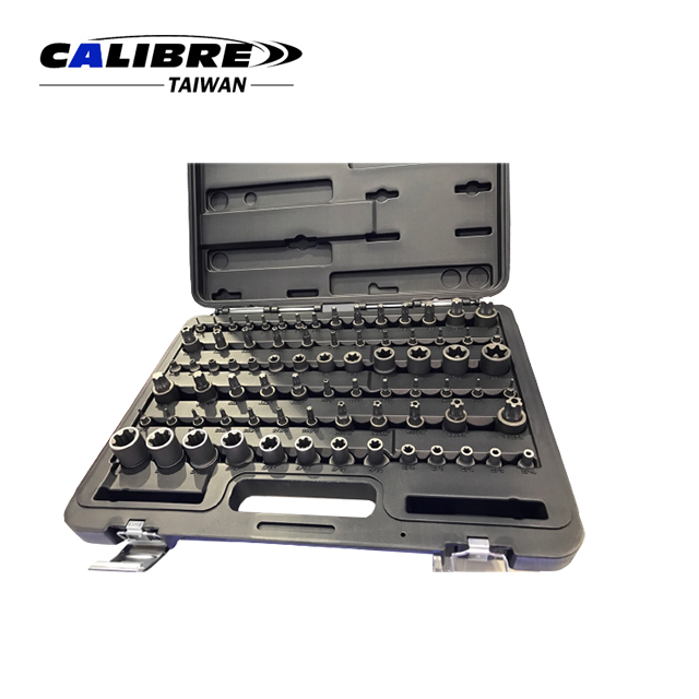 Calibre Pcs Dr Master Torx And Torx Plus Socket Bit