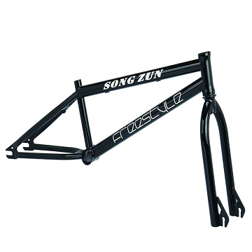 frame and forks