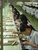 Wire Wound Production Line
