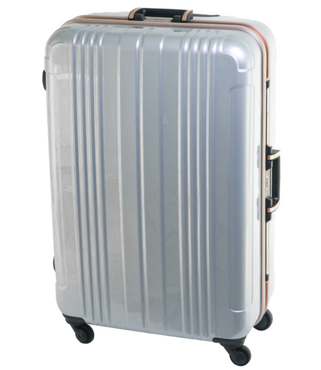 luggage 29 inch sale