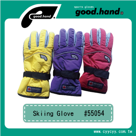 55054 Skiing Glove