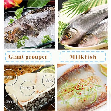 Taiwan Shell Fish Taiwan seafood | Taiwantrade