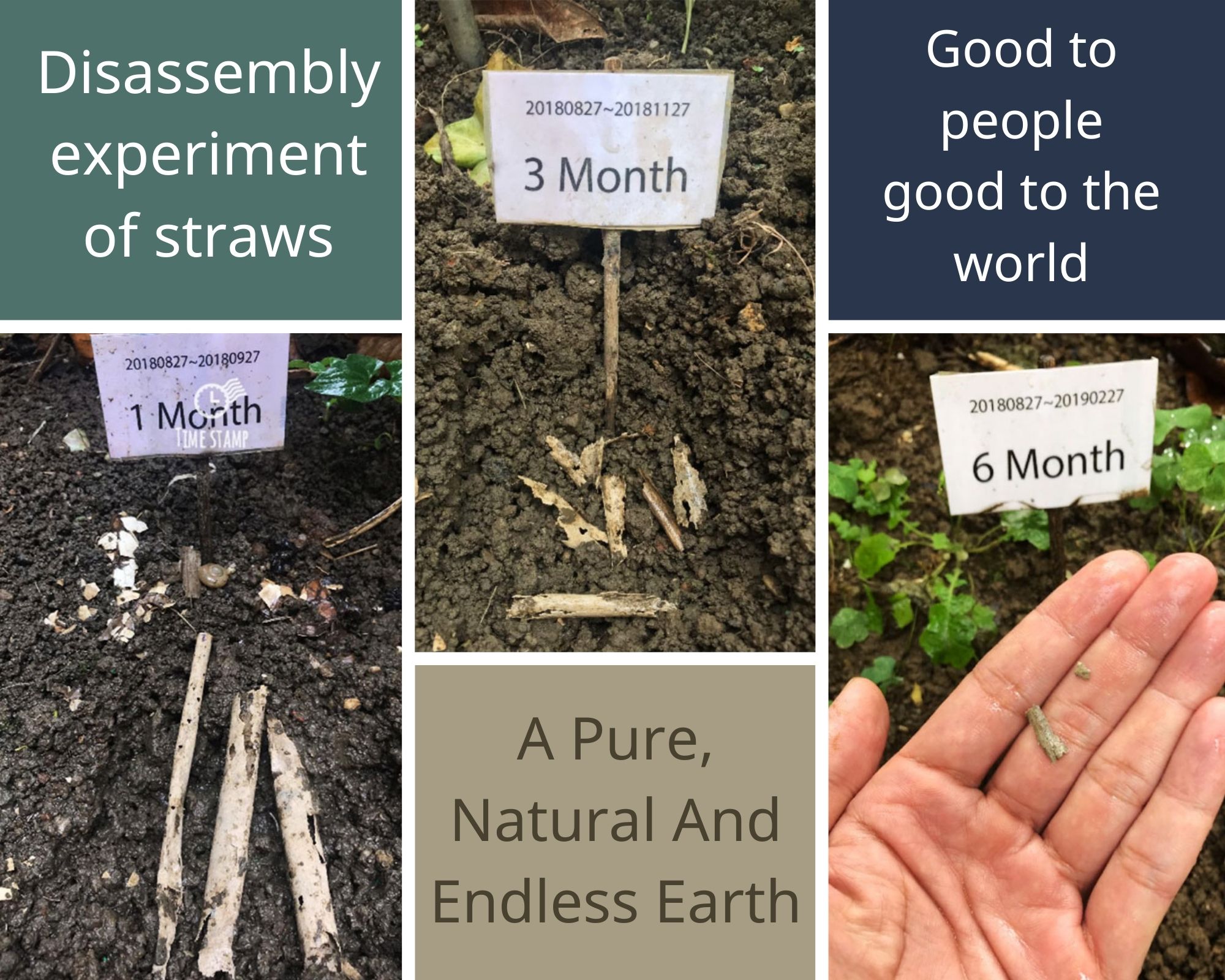 CHANYI Bamboo Product Decomposition Experiments
