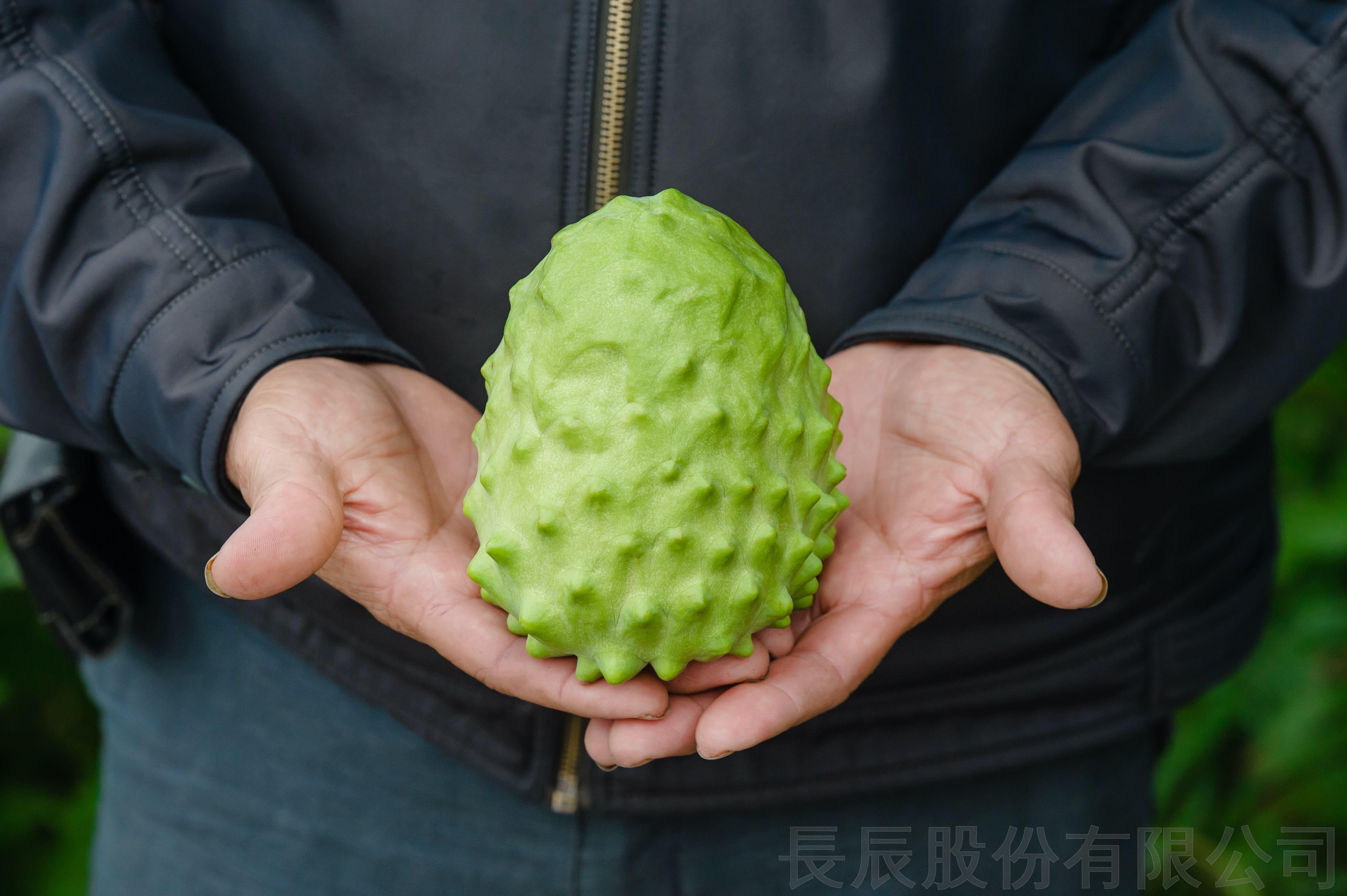 Fresh Sweetsop/ Fresh Pineapple Custard Apple