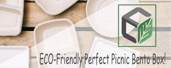 takeaway food packaging box bagasse bowl biodegradable