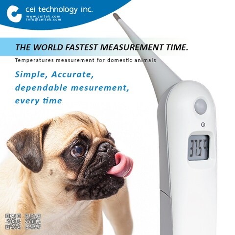 dog equipment for sale