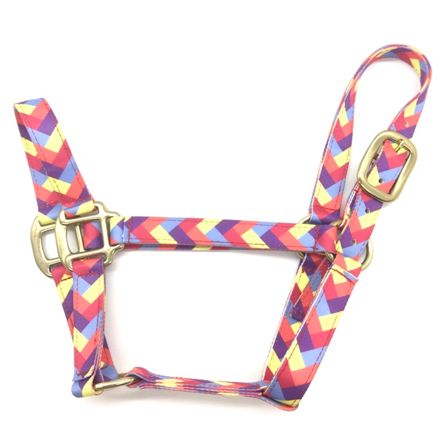 horse halters and leash