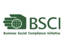 BSCI