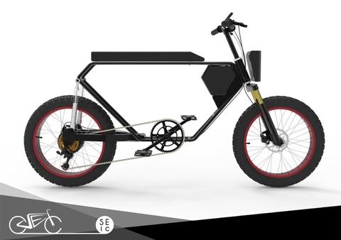 addmotor electric bicycle