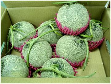 Cucumis Muskmelon