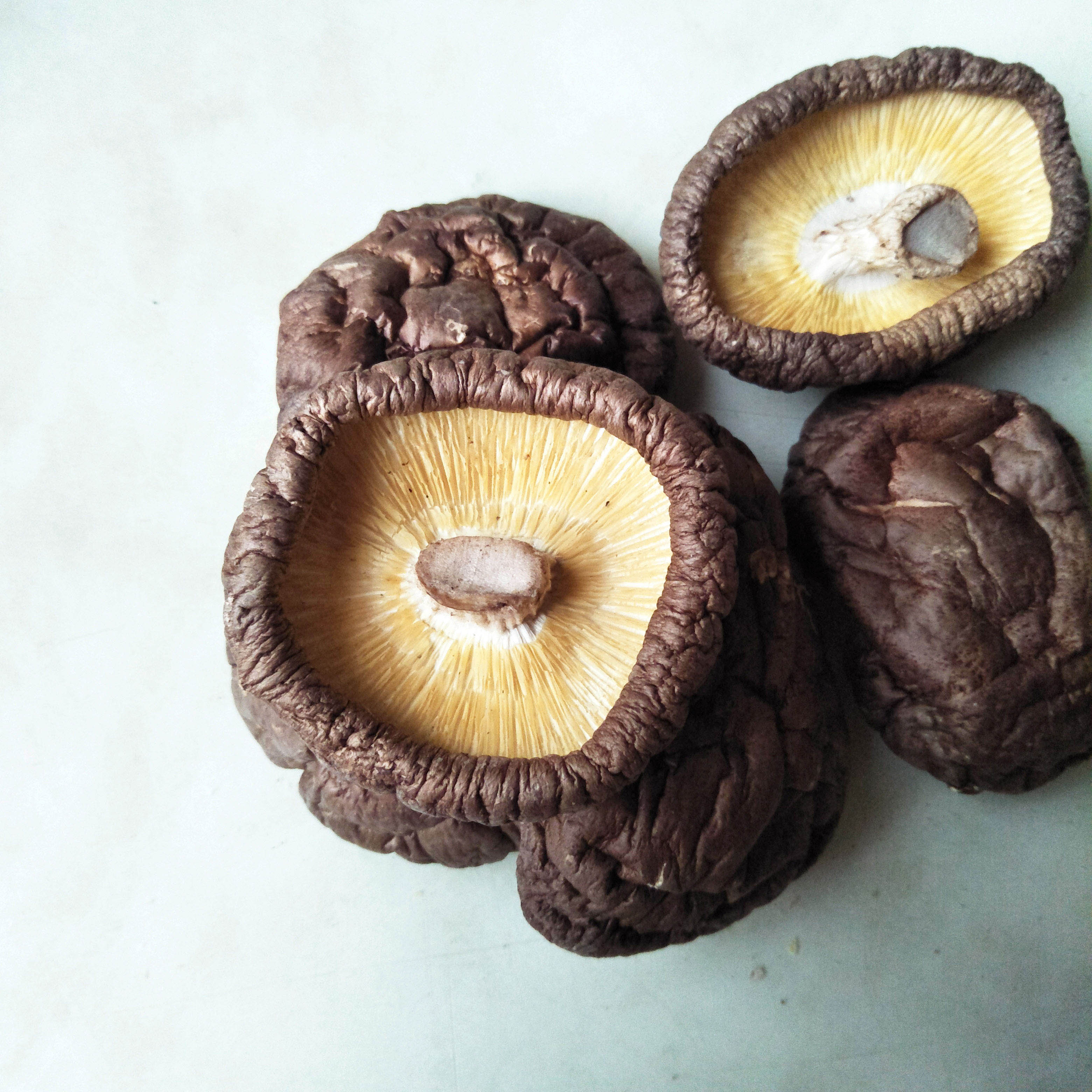 nutrition-and-healthy-shiitake-mushroom-oem-brand-taiwantrade