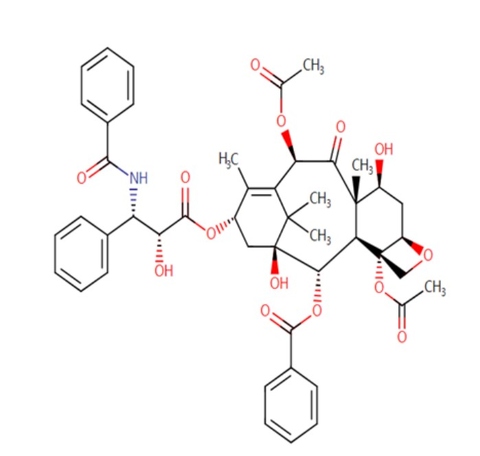 Paclitaxel, CAS No. 33069-62-4, YCP0793