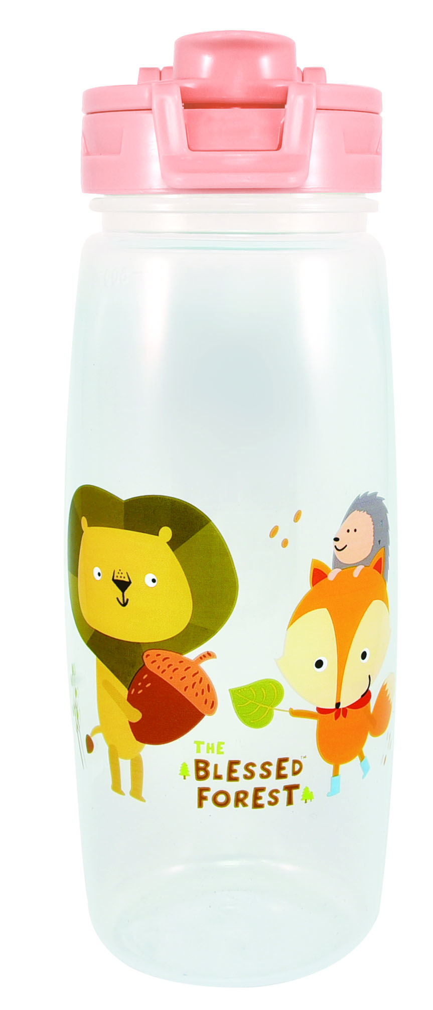 Water Bottle-500ml