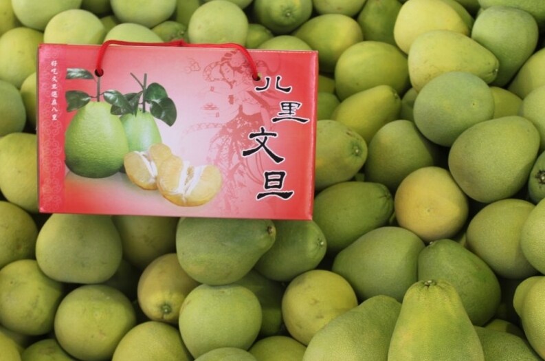 文旦柚 -10斤-台灣經貿網