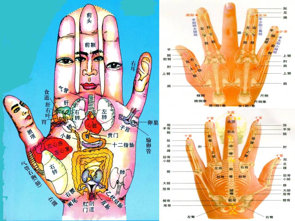 产品 医疗,照护及生技 晶矿白碳能量手套 双手就是一所大医院 手掌有