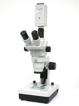 Professional ZK Series Binocular Stereo Microscopes