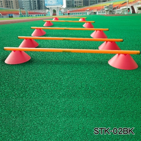 AGILITY LADDER WITH CONE HURDLE