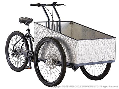 itop goods electric trike