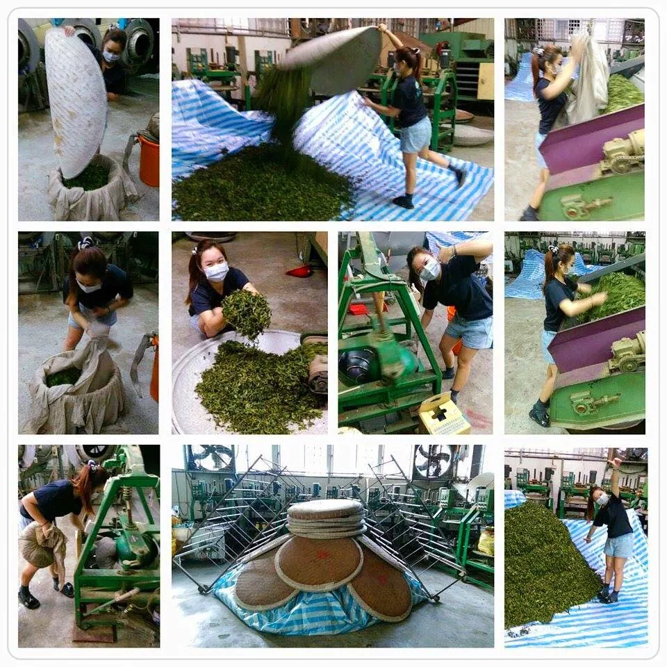 Taiwan Premium Oolong, Da-yu-ling Green Tea Leaves with Organic Pyramid bags, best gift for New Year 2019