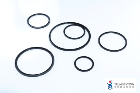 YMI Oil Seal