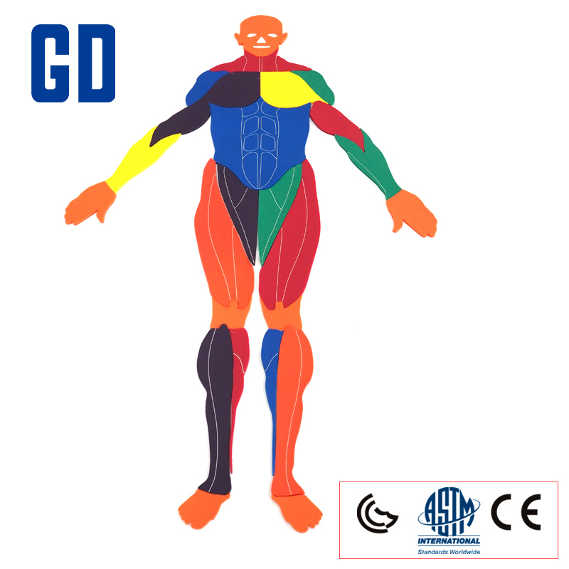 Body puzzle Taiwantrade