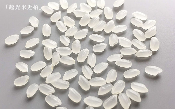 Premium award-winning Taiwan Koshihikari Rice | Taiwantrade.com