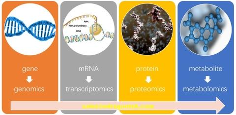 Creative Proteomics, CRO Contract Research Organization