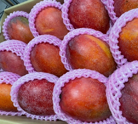 Apple Mango