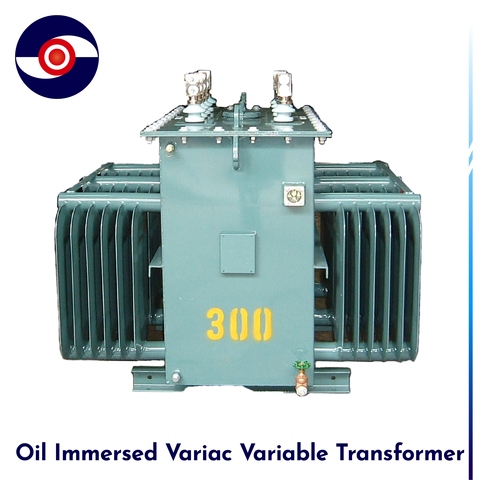 Manufacturer of Variac Variable Transformer, Oil Immersed Cooling Type