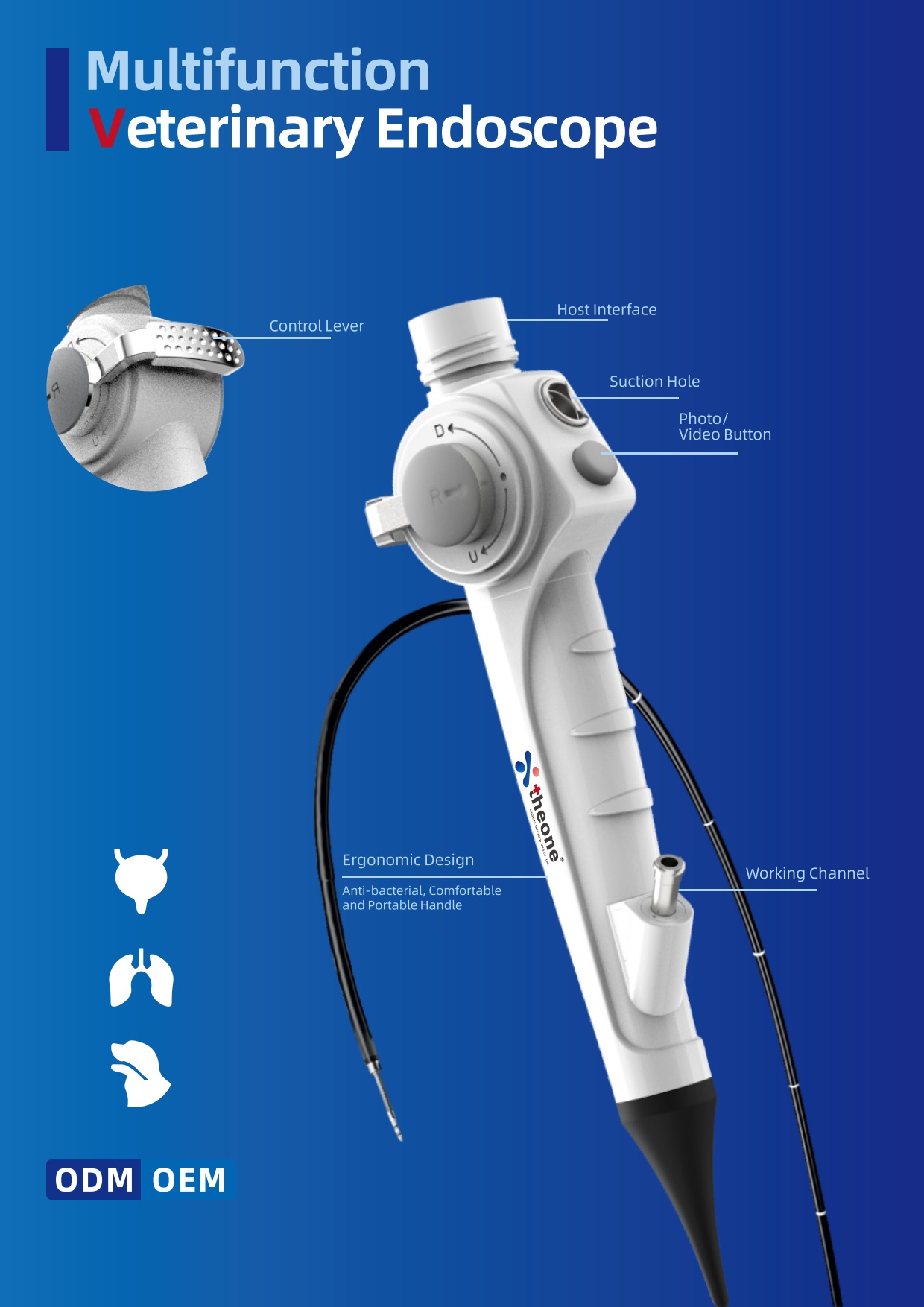 Portable Veterinary Endoscope – Reusable - 2.8MM + 12" Screen (Set ...
