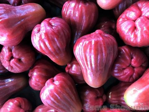 Wax Apple Rose Apple Bell Fruit Big Size Taiwantrade Com