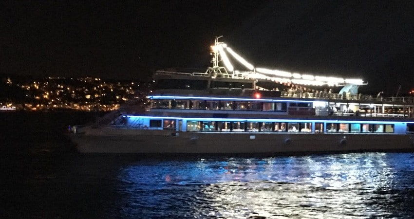 Waterproof and Seawater Erosion Resistant-Cruise Escape Strip Light