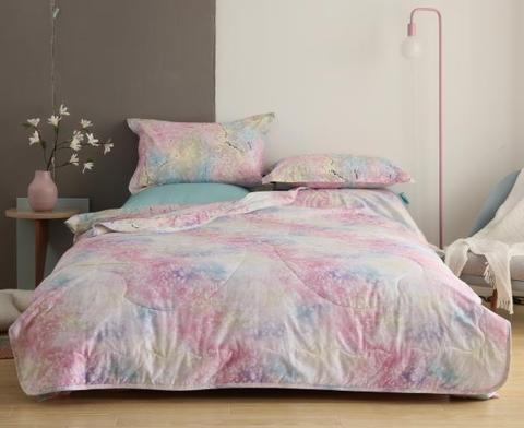 Peach Petal Pattern Printing 4 Piece Bedding Set With Duvet Cover