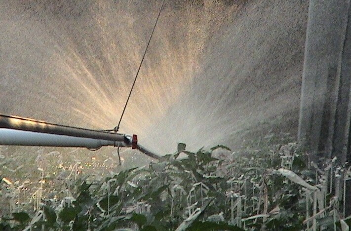 above ground irrigation hose