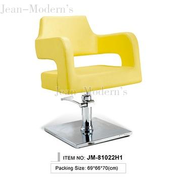 Salon Stylish Hydraulic Chair